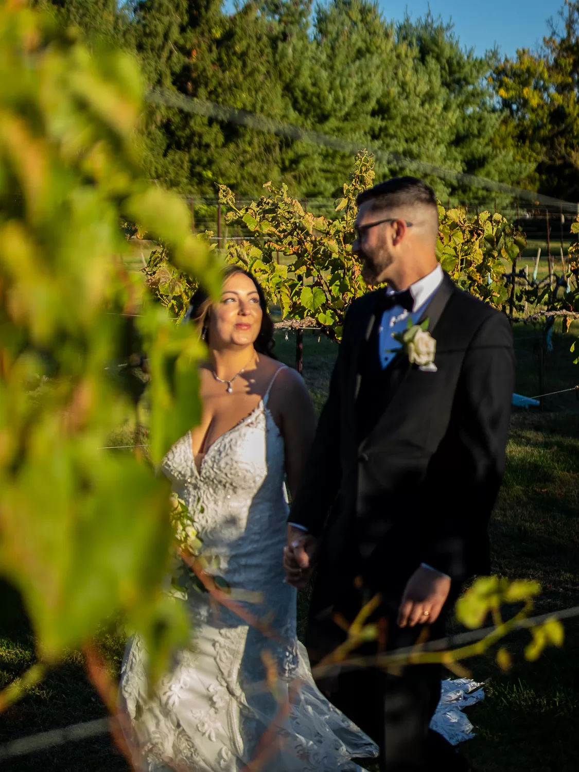 rosebank winery wedding photographer