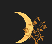 amber moon logo