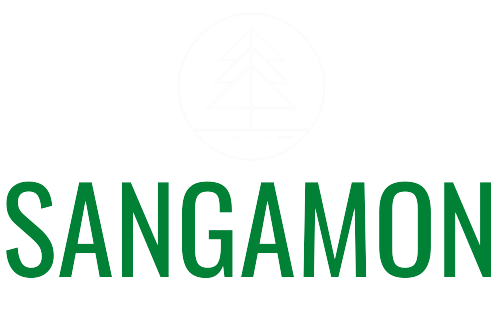 crm software customer