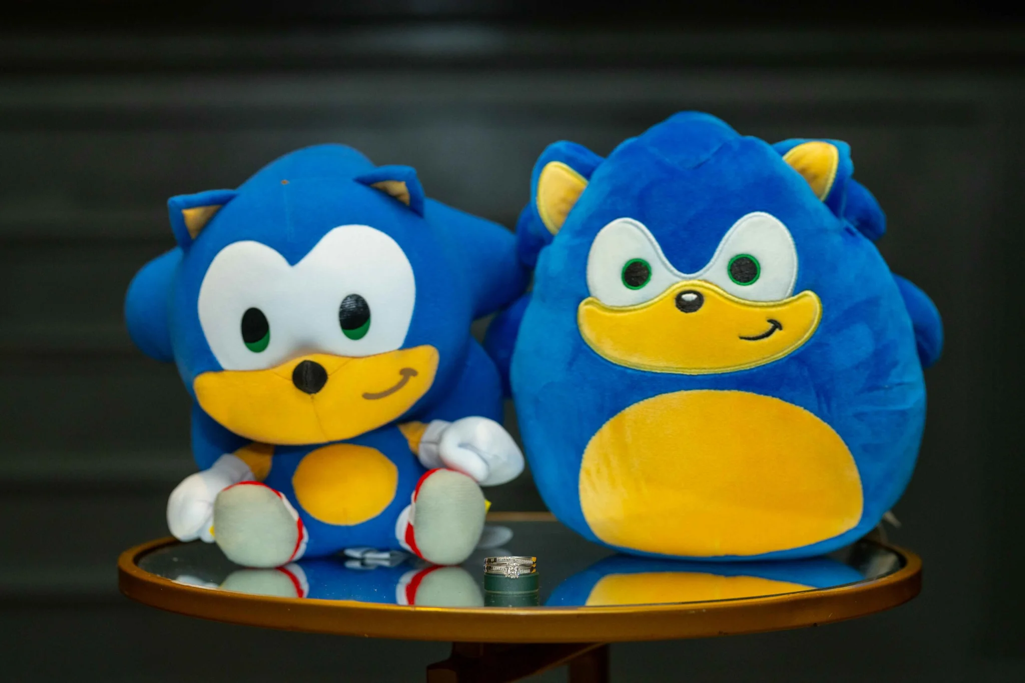 wedding photographers in manayunk, sonic and knuckles