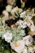 Wedding rings in focus